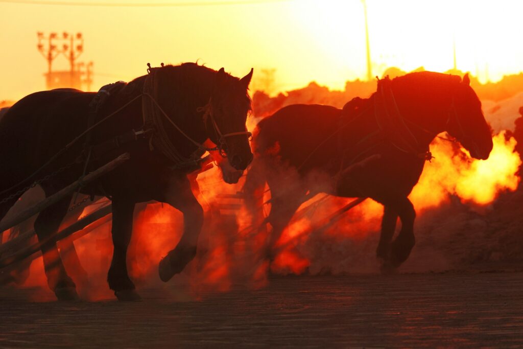 SABYVAGE協賛十勝ばんえい競馬冠スポンサー